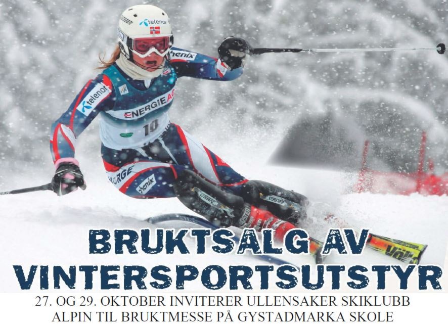 Bruktsalg 2017
